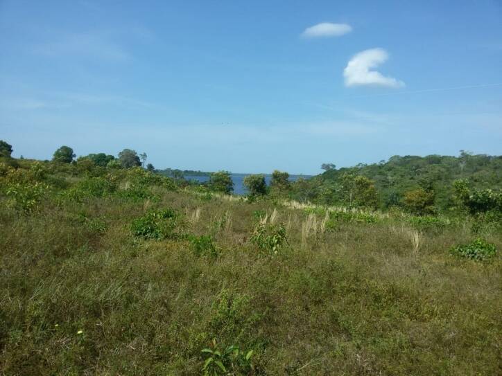 Terreno à venda, 5000m² - Foto 1