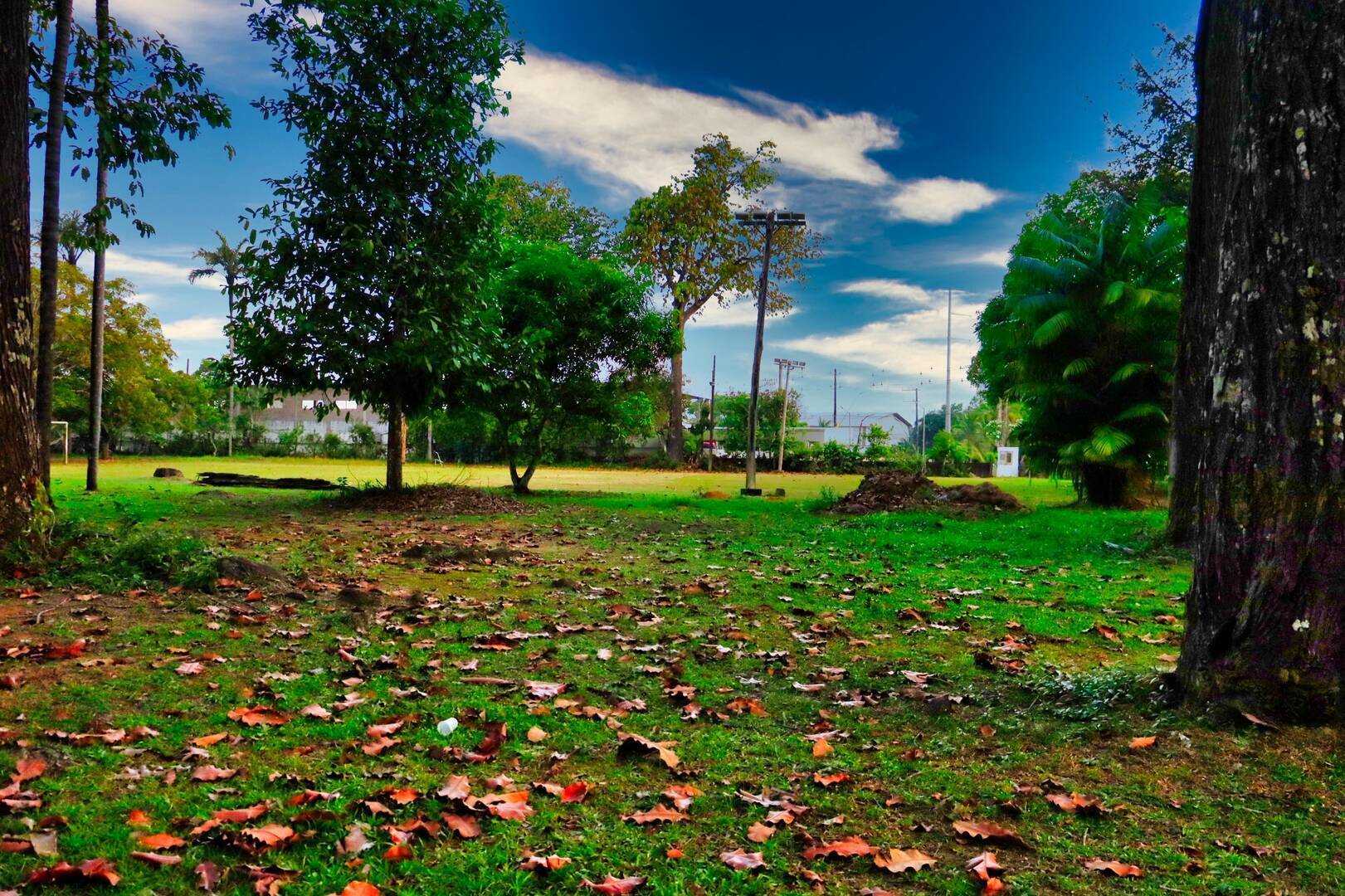 Terreno à venda, 300m² - Foto 5