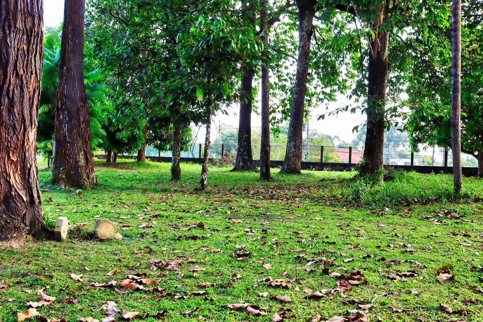 Terreno à venda, 300m² - Foto 6