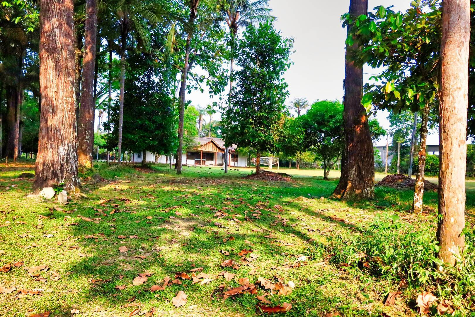 Terreno à venda, 300m² - Foto 21