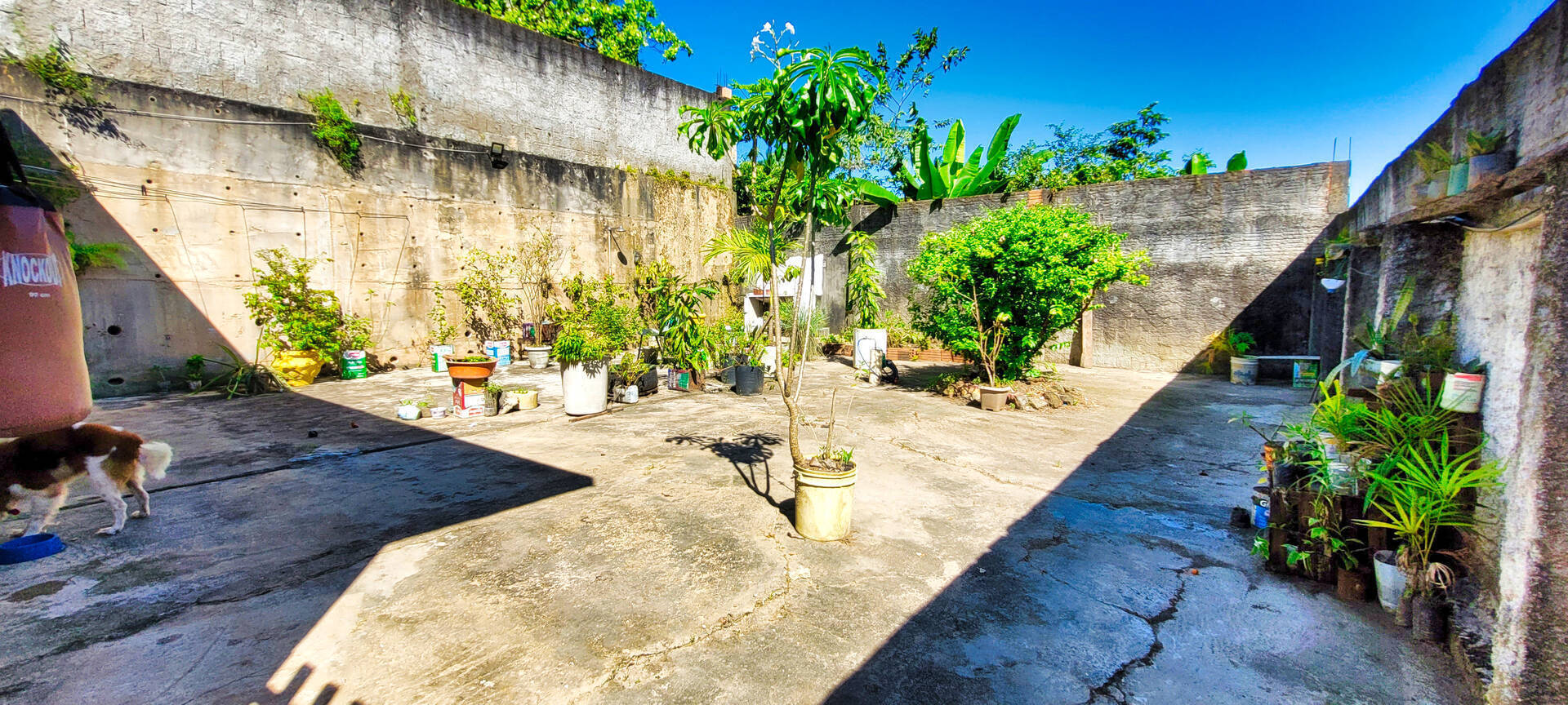 Casa à venda com 2 quartos, 103m² - Foto 18