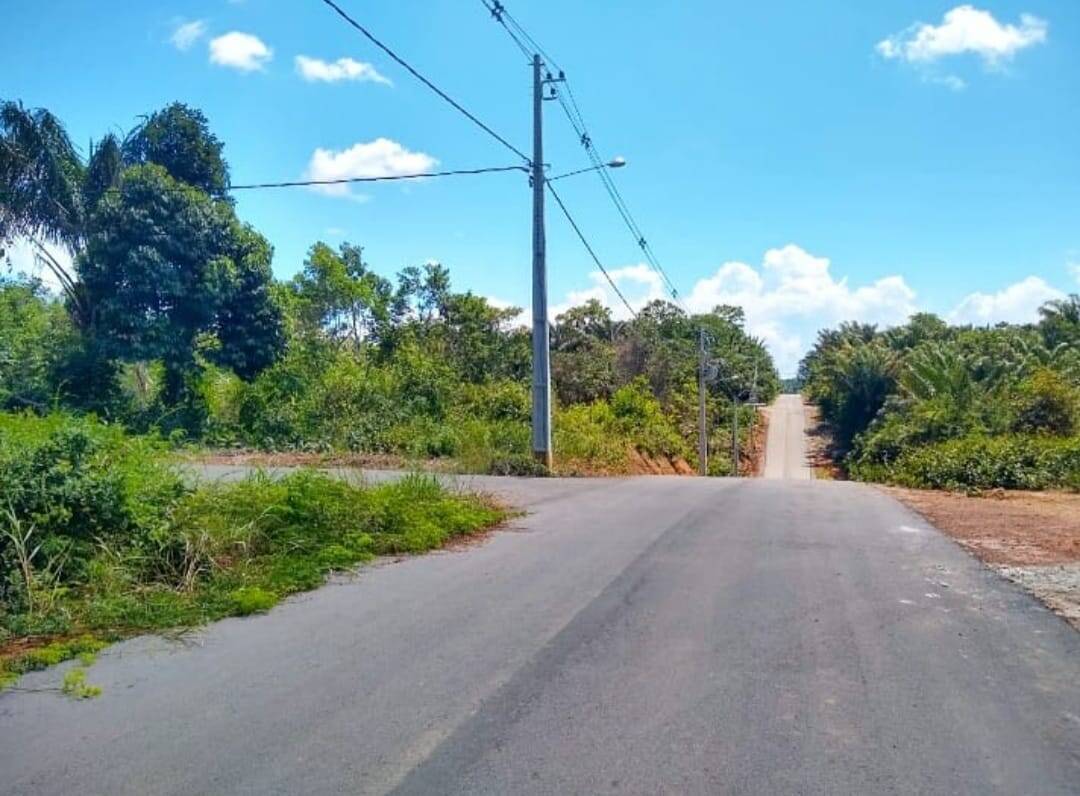 Terreno, 2000 m² - Foto 3