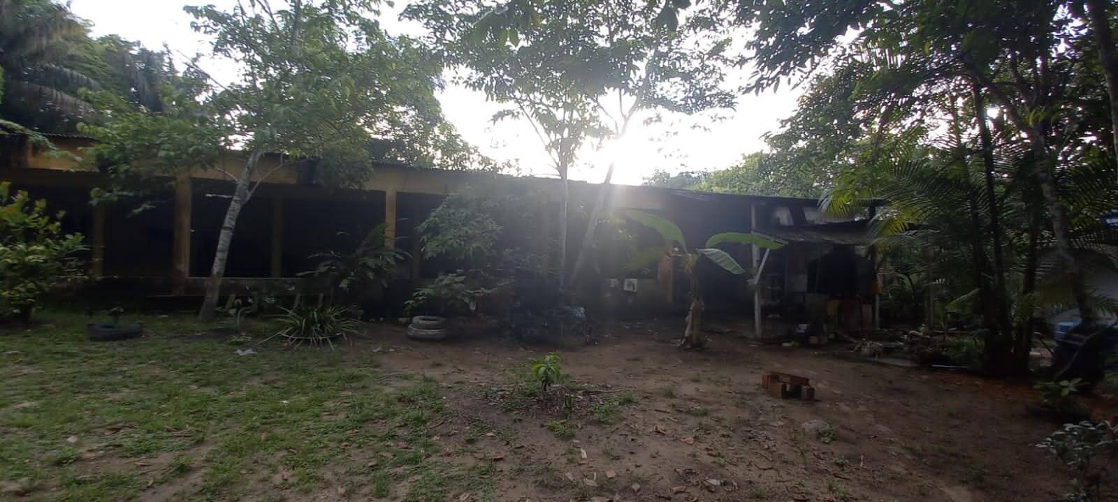 Terreno, 4 hectares - Foto 6