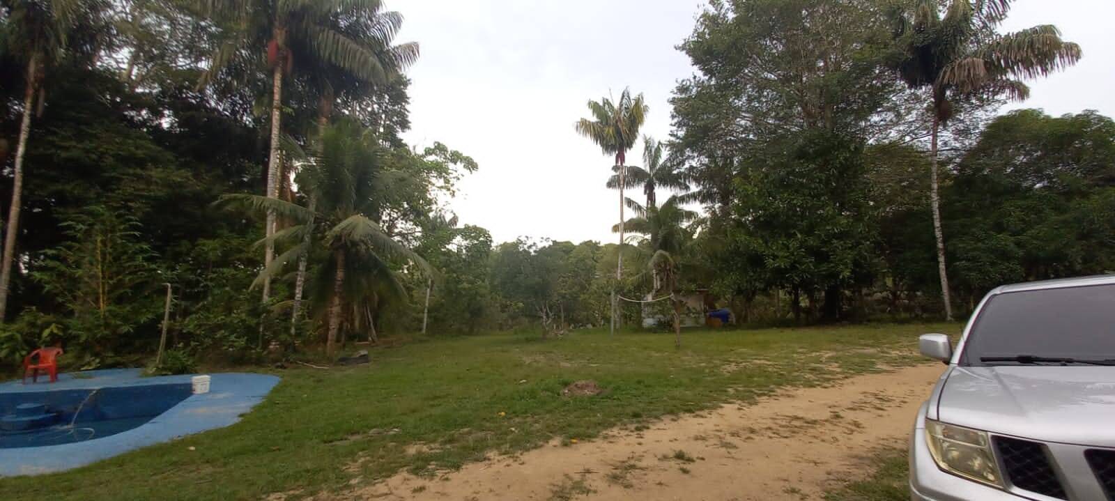 Terreno, 4 hectares - Foto 13