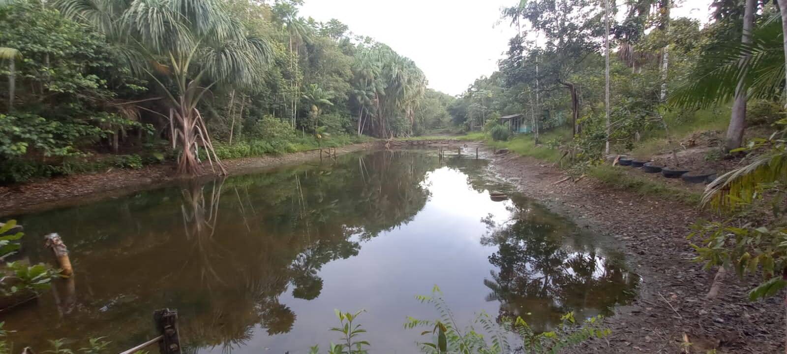 Terreno, 4 hectares - Foto 3