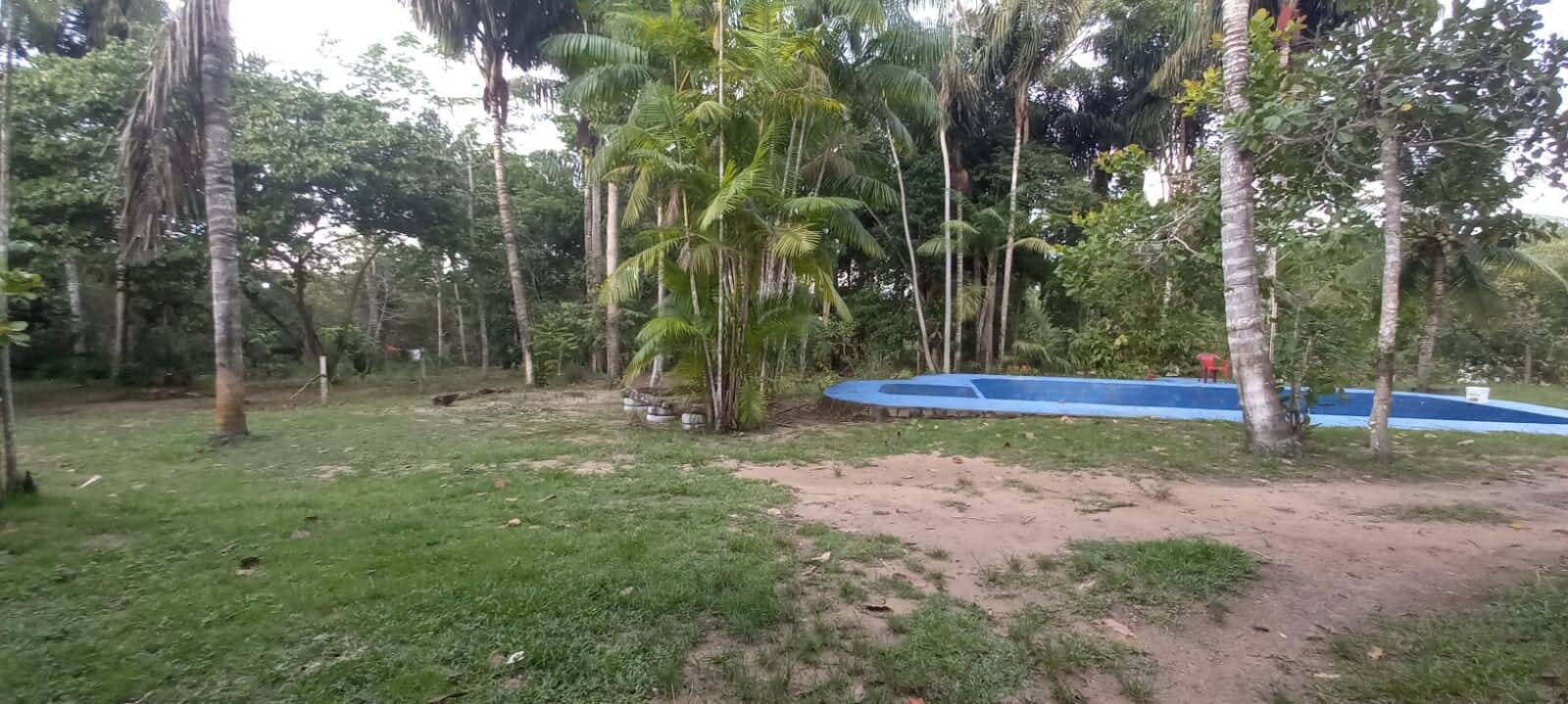 Terreno, 4 hectares - Foto 12