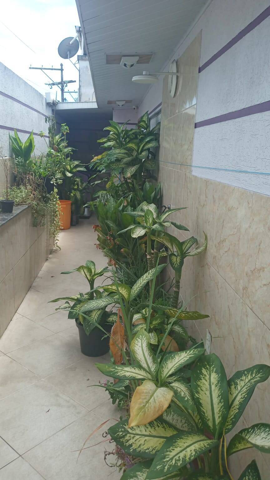 Prédio Inteiro à venda, 228m² - Foto 11