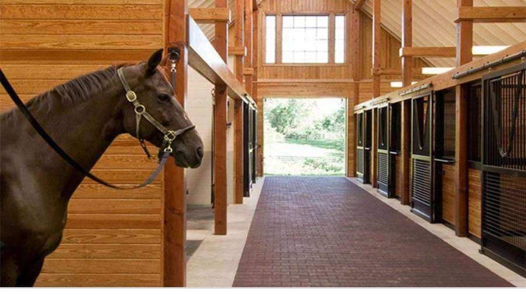 Terreno, 1000 m² - Foto 9