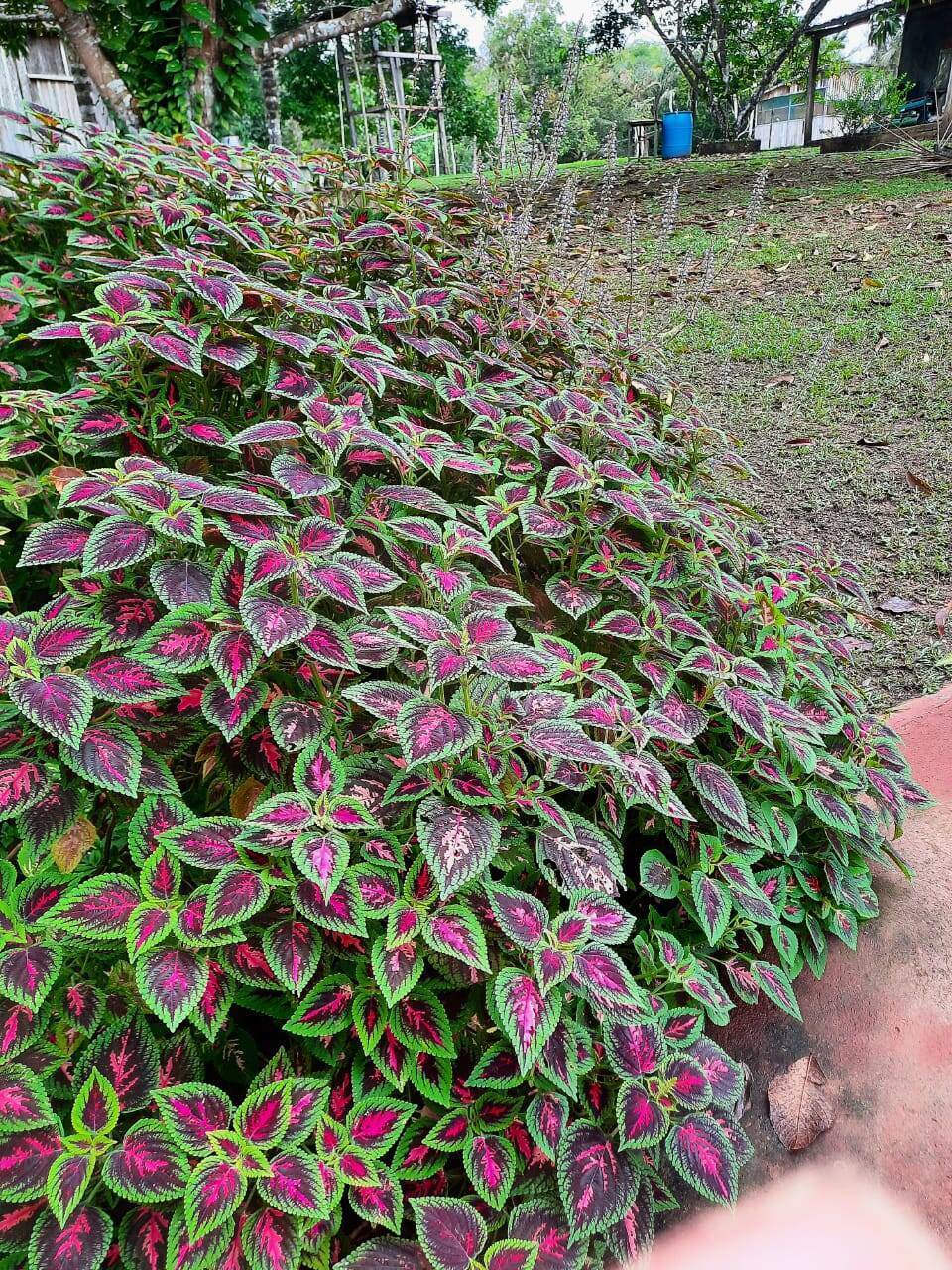 Terreno, 32 m² - Foto 32