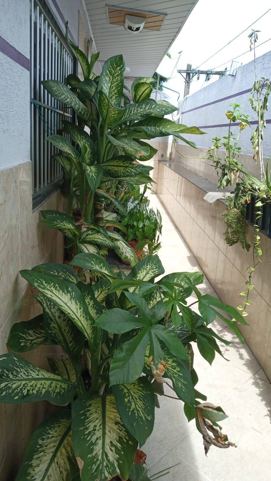 Prédio Inteiro à venda, 228m² - Foto 15