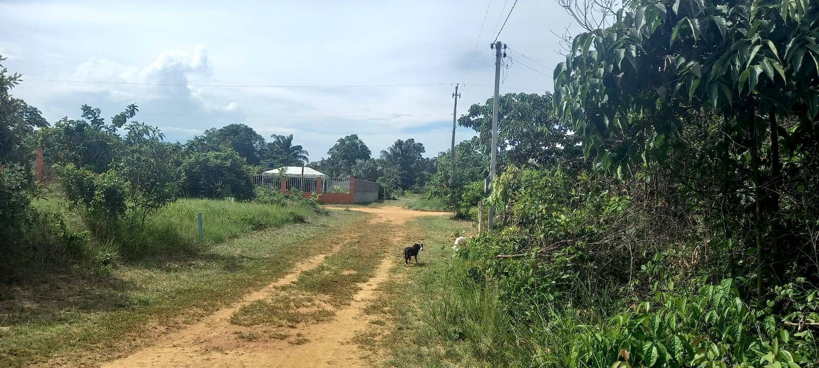 Terreno à venda, 300m² - Foto 1