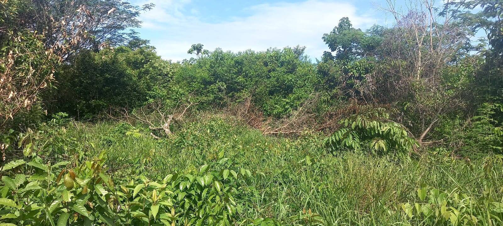 Terreno à venda, 300m² - Foto 7