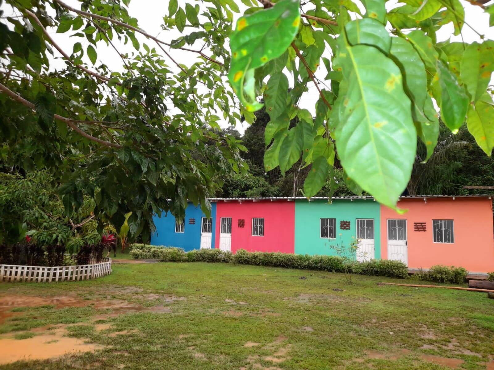 Terreno, 1 hectares - Foto 7