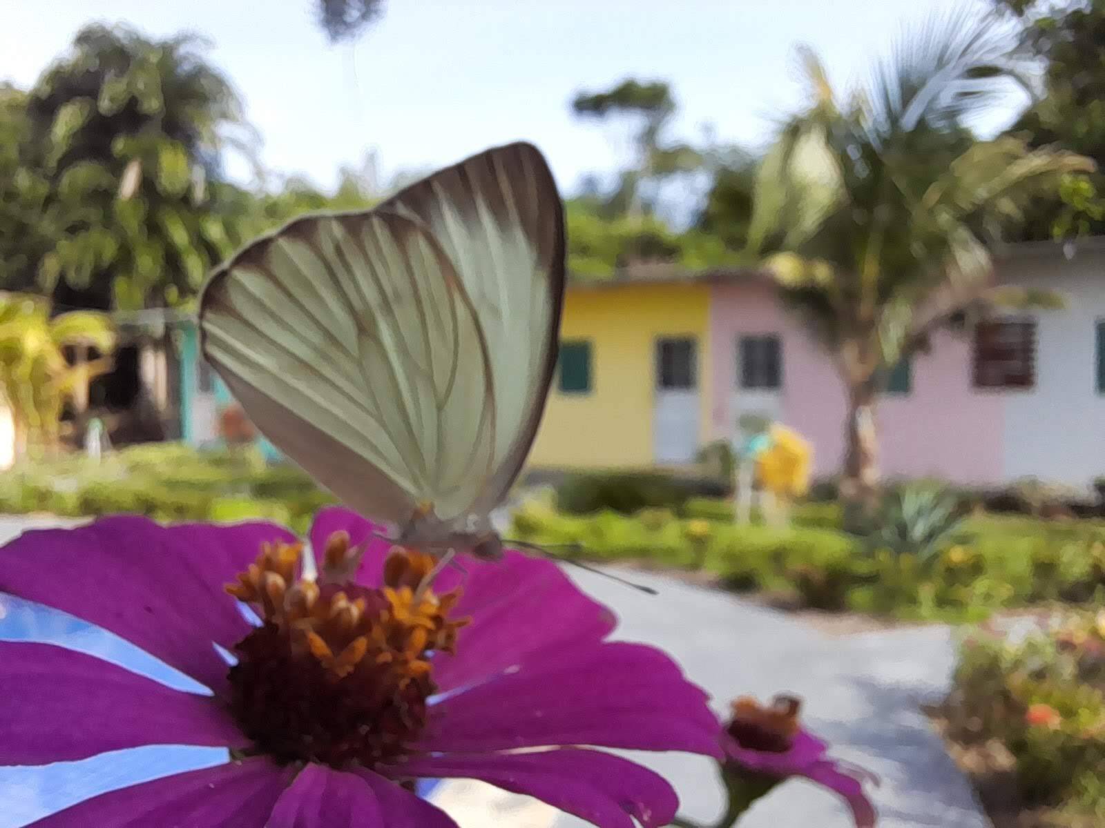 Terreno, 1 hectares - Foto 19