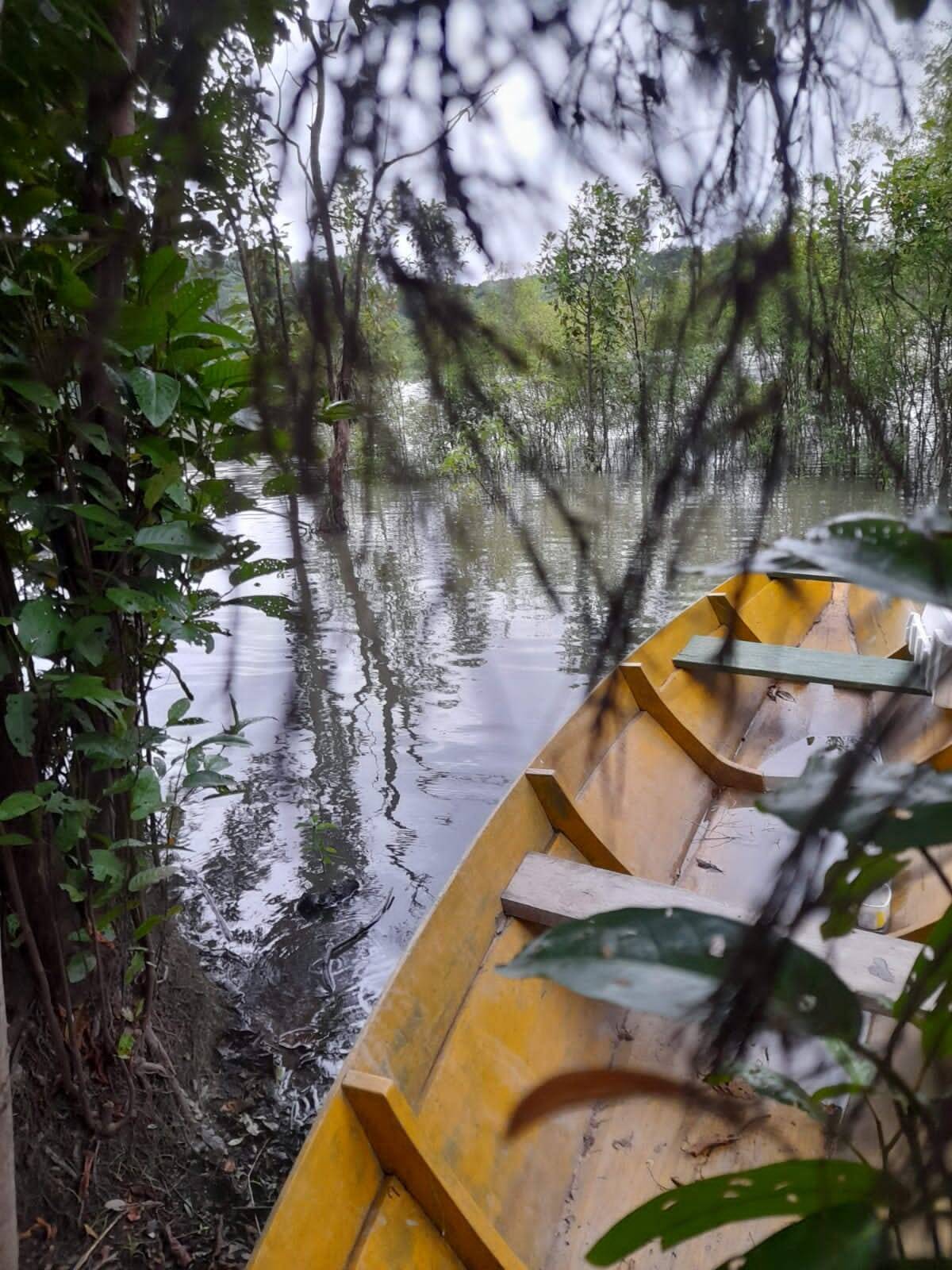 Terreno, 1 hectares - Foto 22