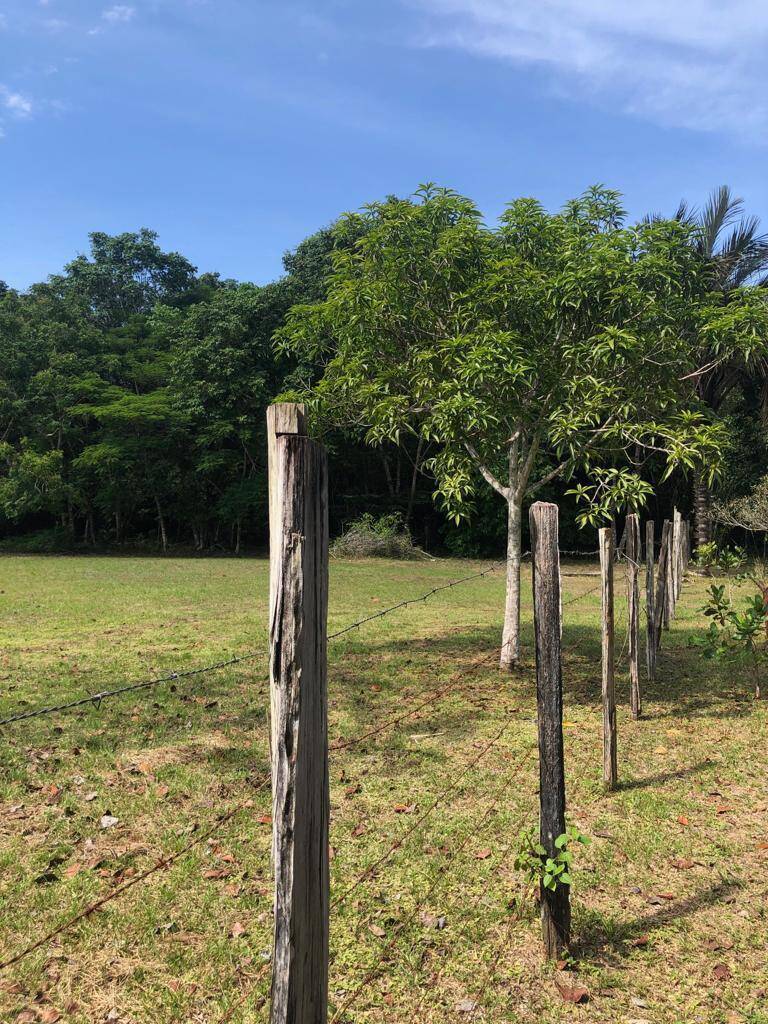 Terreno à venda, 6000m² - Foto 4