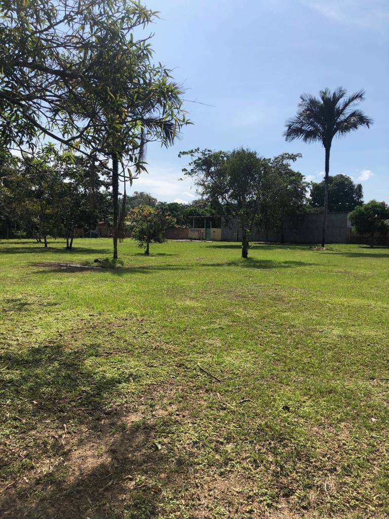 Terreno à venda, 6000m² - Foto 7