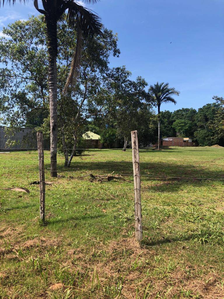 Terreno à venda, 6000m² - Foto 12