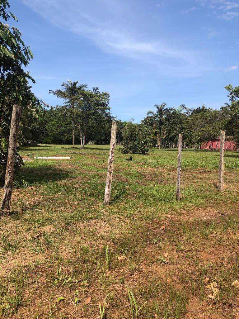 Terreno à venda, 6000m² - Foto 21