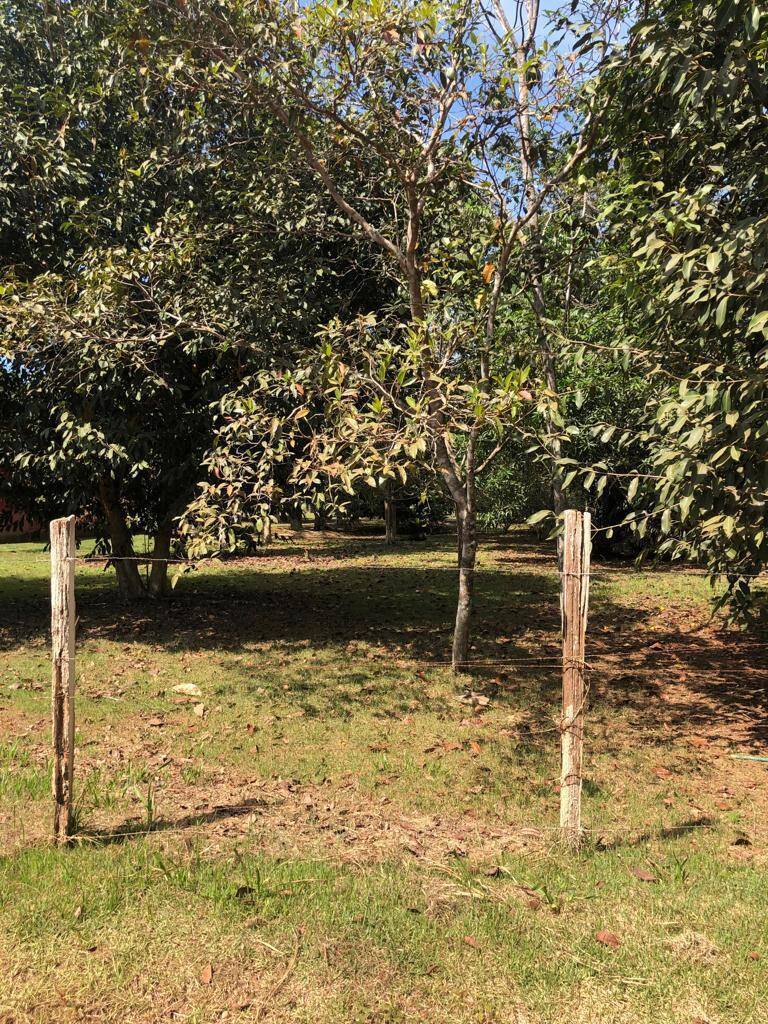 Terreno à venda, 6000m² - Foto 20