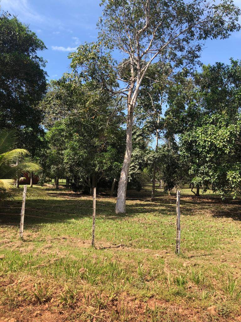Terreno à venda, 6000m² - Foto 24