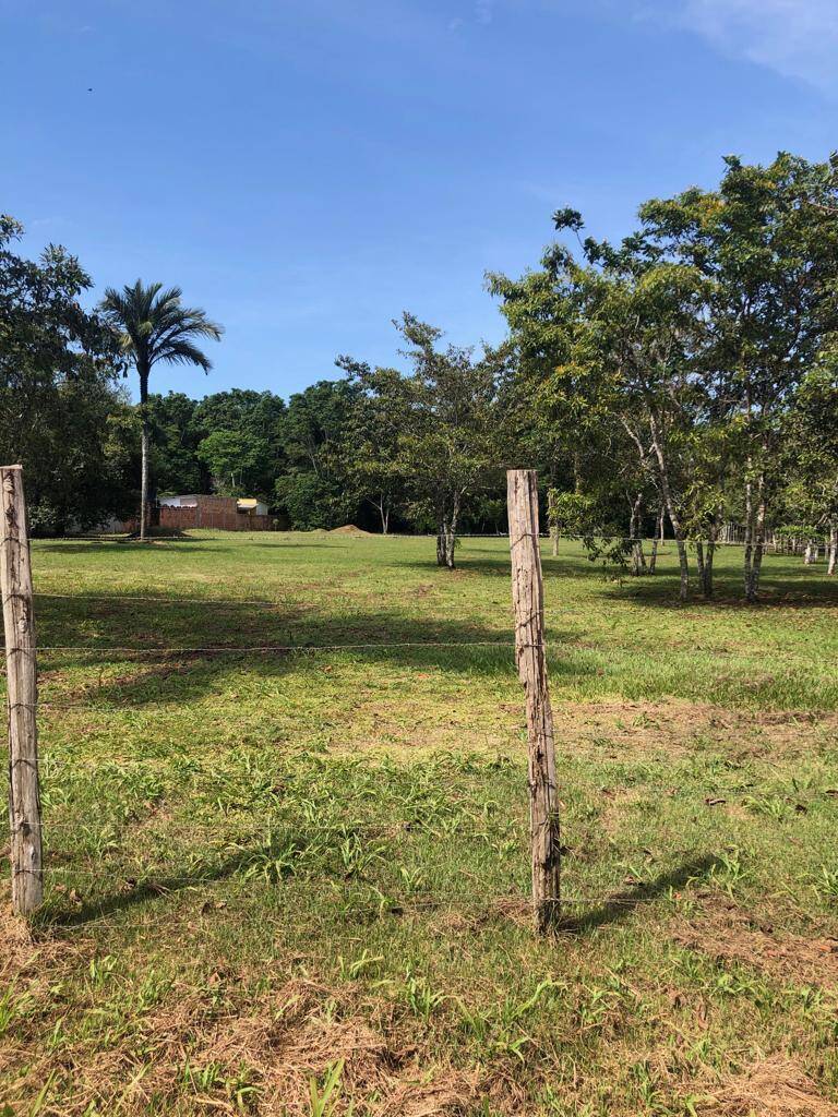 Terreno à venda, 6000m² - Foto 30
