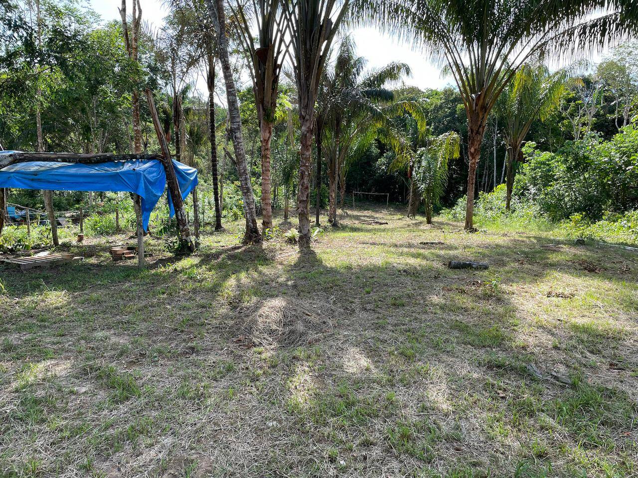 Terreno, 2000 m² - Foto 15