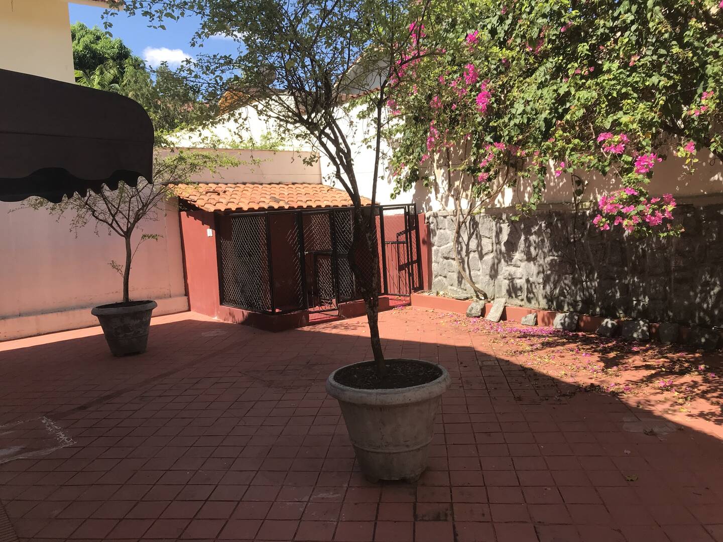 Casa, 3 quartos - Foto 64