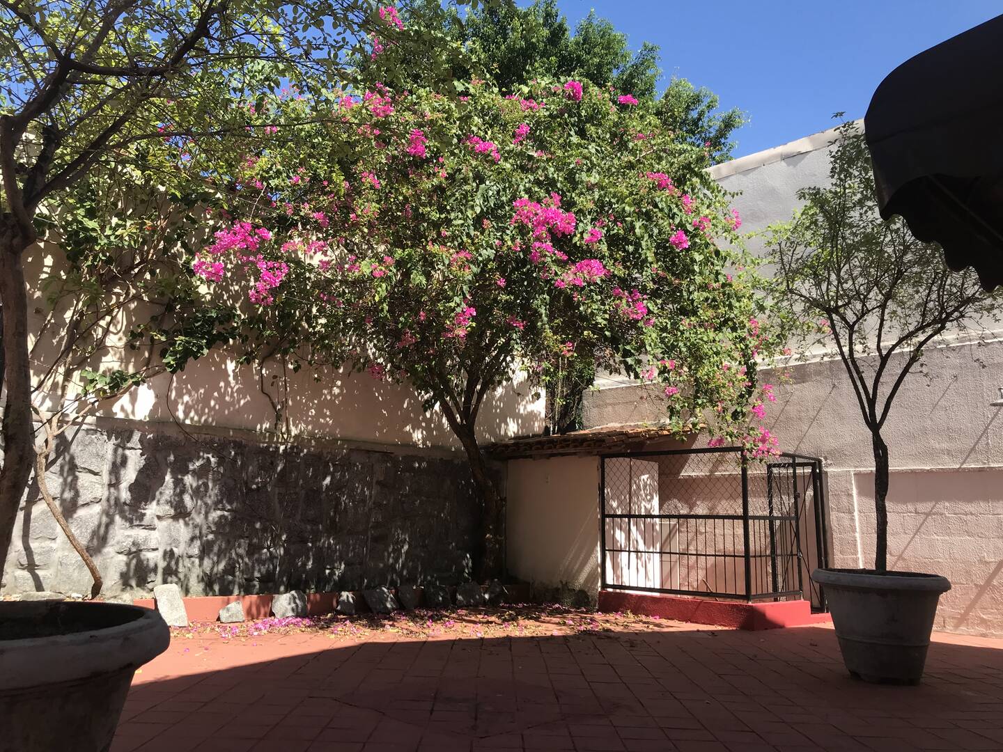 Casa, 3 quartos - Foto 60