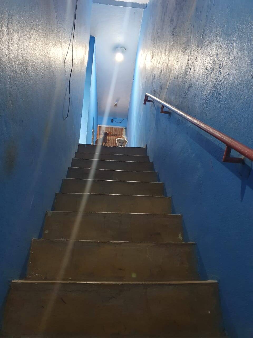 Casa à venda com 3 quartos, 200m² - Foto 6
