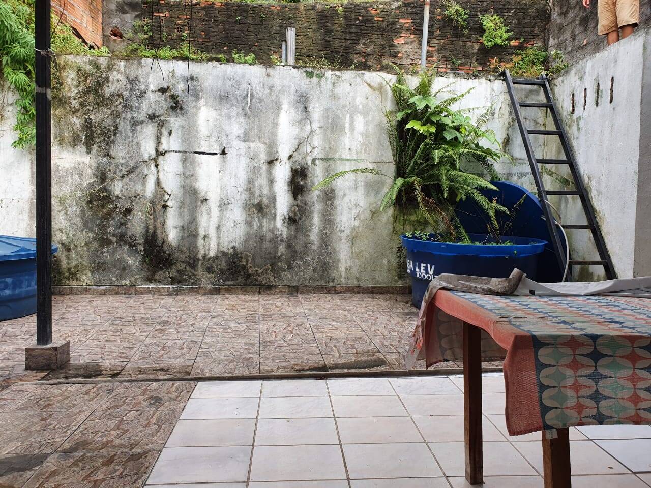 Casa, 3 quartos - Foto 11