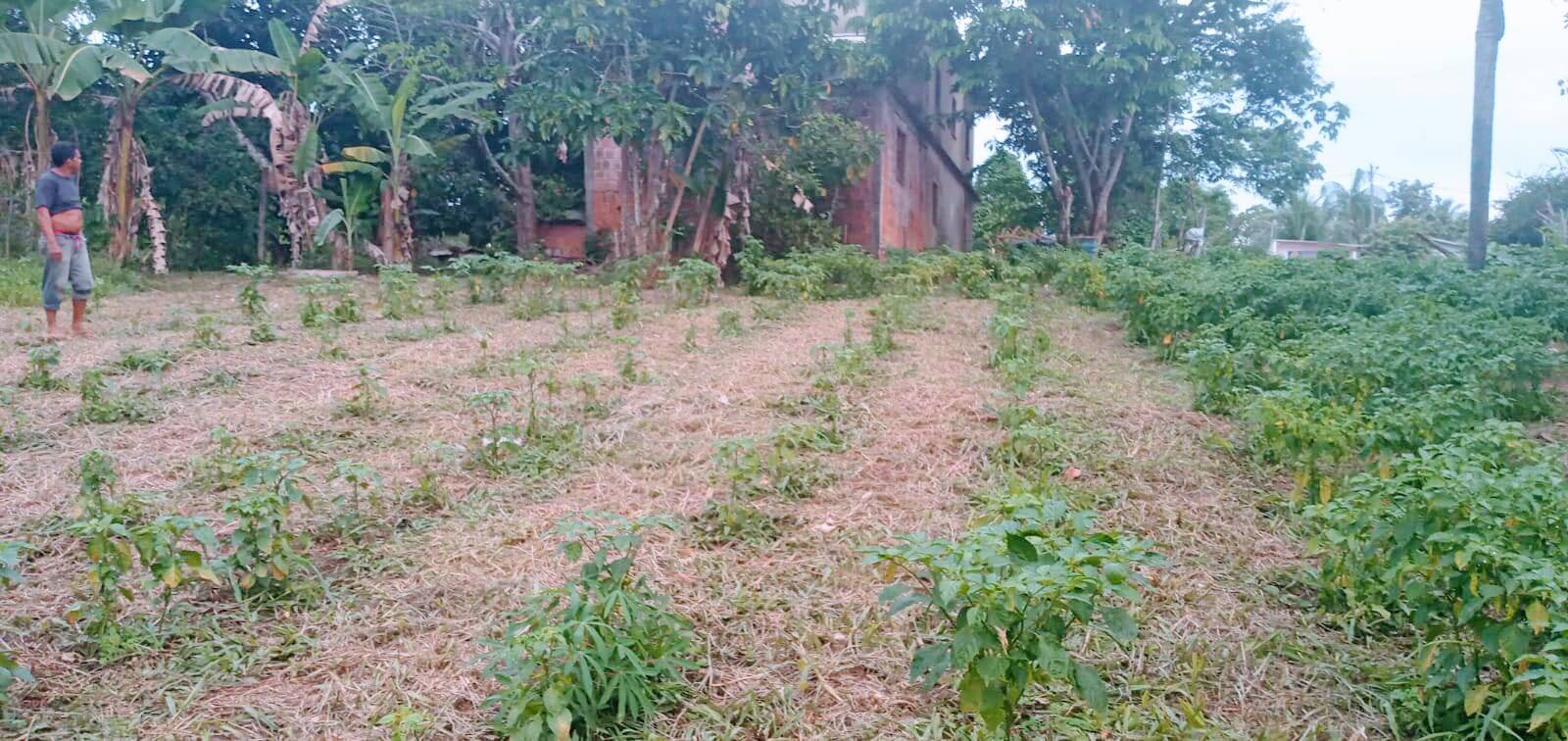 Terreno à venda, 128m² - Foto 13