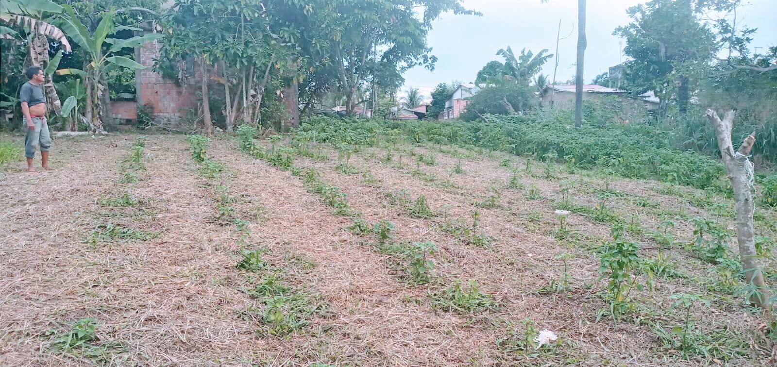 Terreno à venda, 128m² - Foto 1