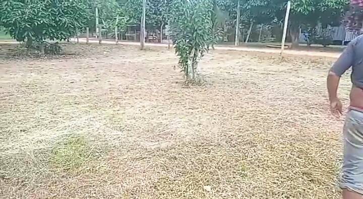 Terreno à venda, 128m² - Foto 16
