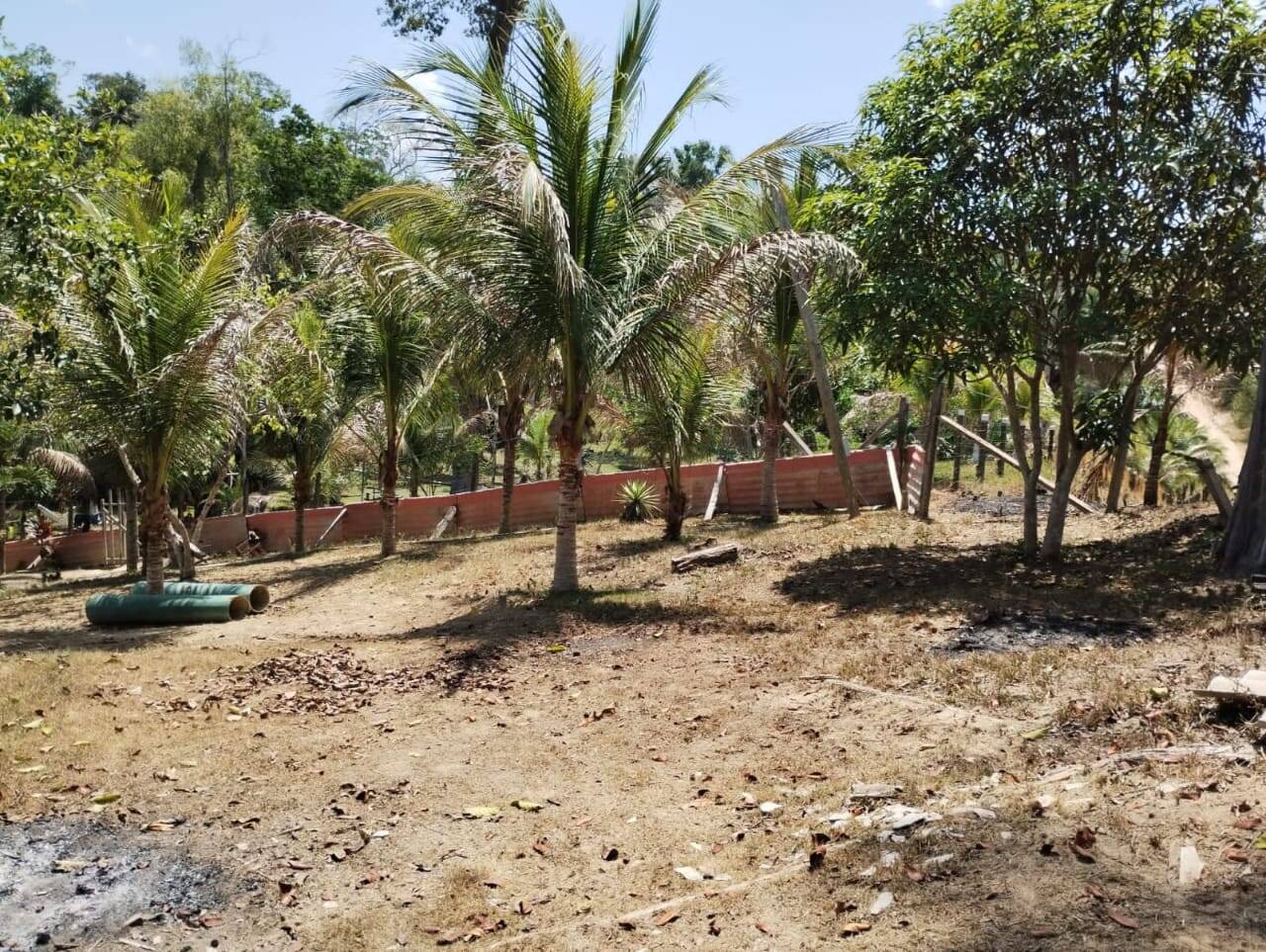 Terreno, 14 hectares - Foto 3