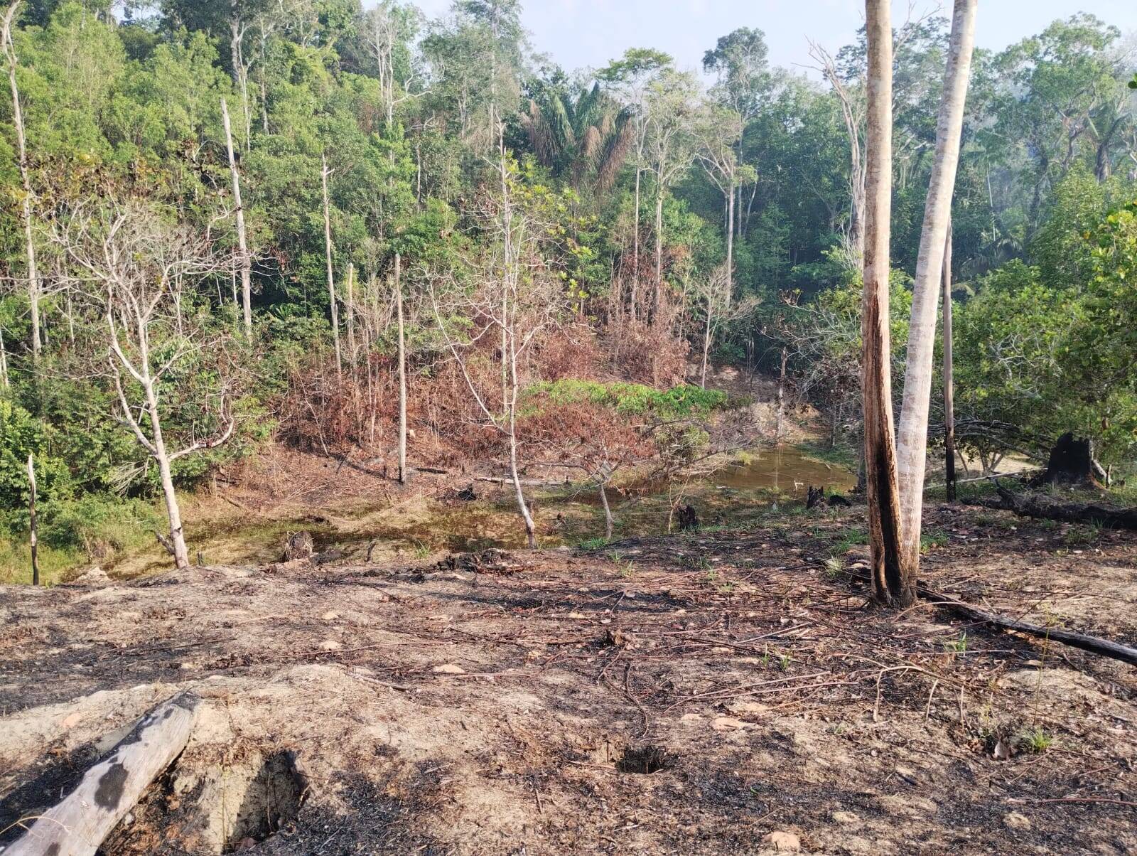 Terreno, 14 hectares - Foto 1