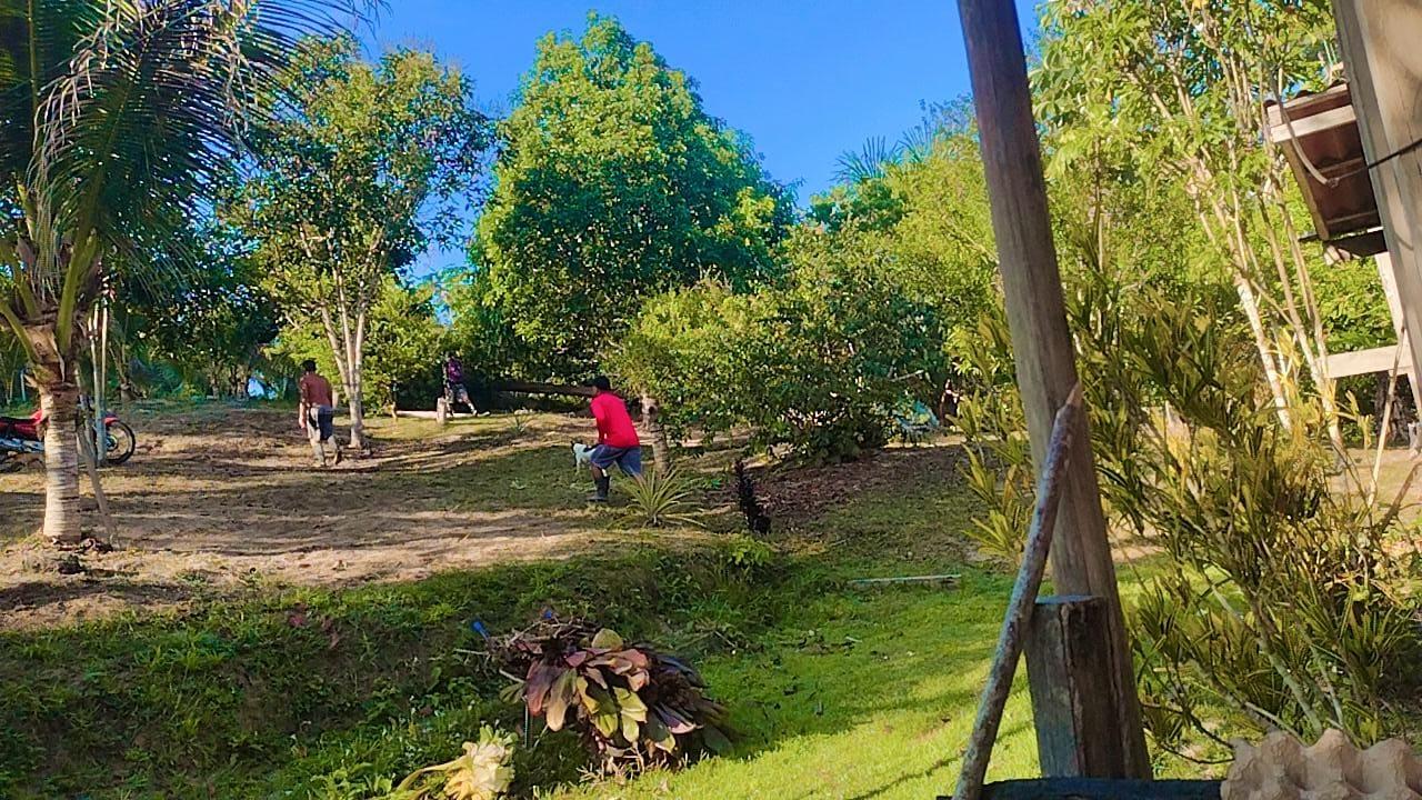 Terreno, 14 hectares - Foto 8