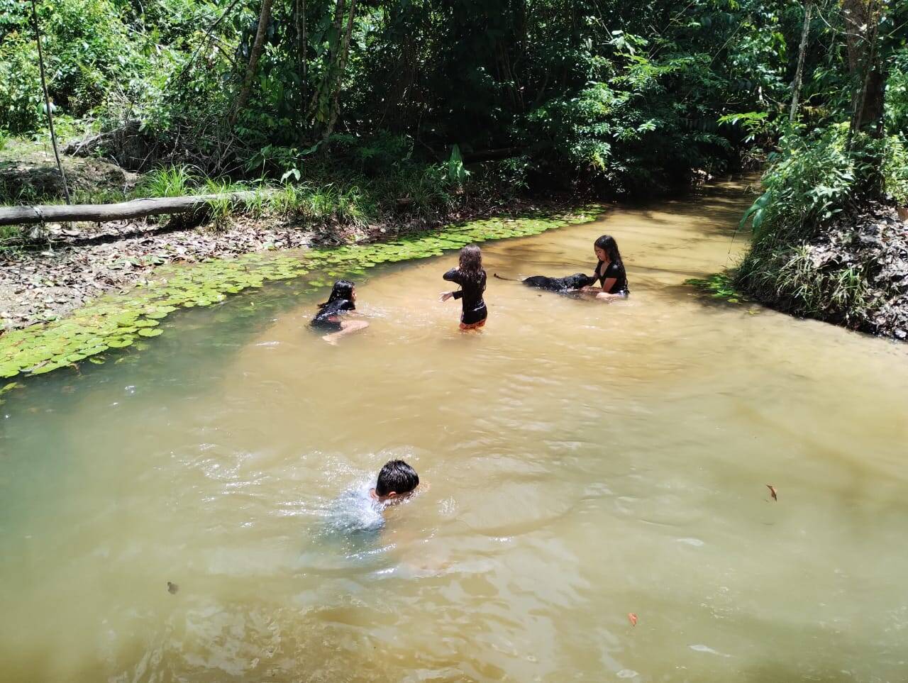 Terreno, 14 hectares - Foto 6