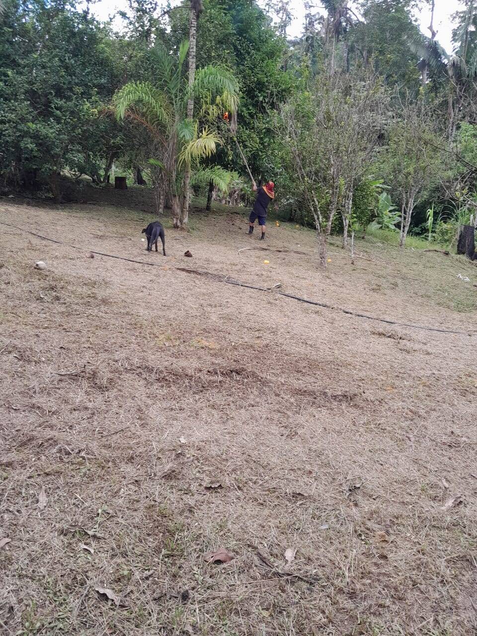 Terreno, 14 hectares - Foto 9