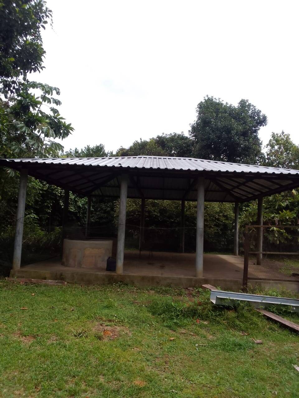 Terreno, 15 hectares - Foto 11