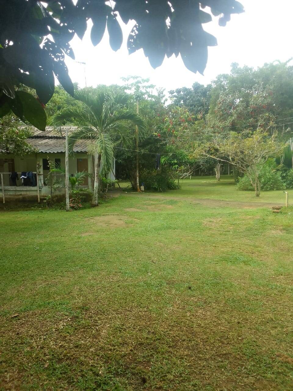 Terreno, 15 hectares - Foto 13