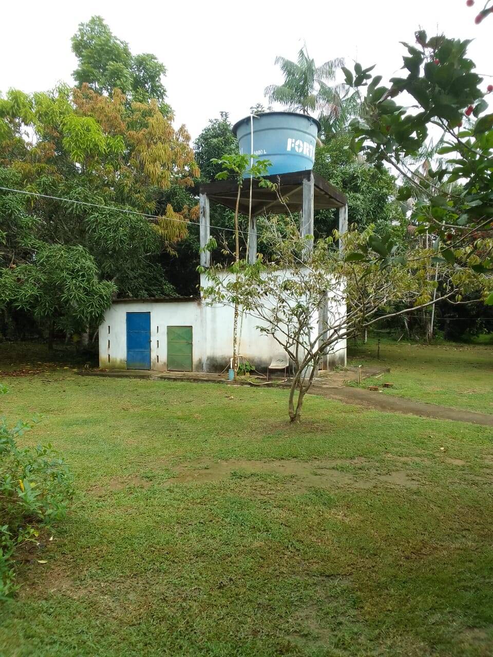 Terreno, 15 hectares - Foto 15