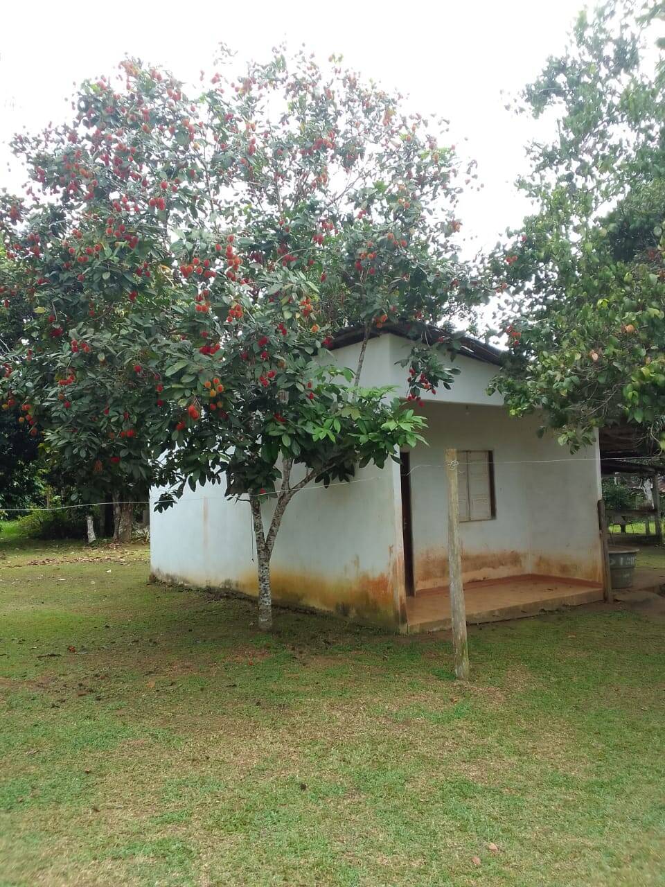 Terreno, 15 hectares - Foto 16