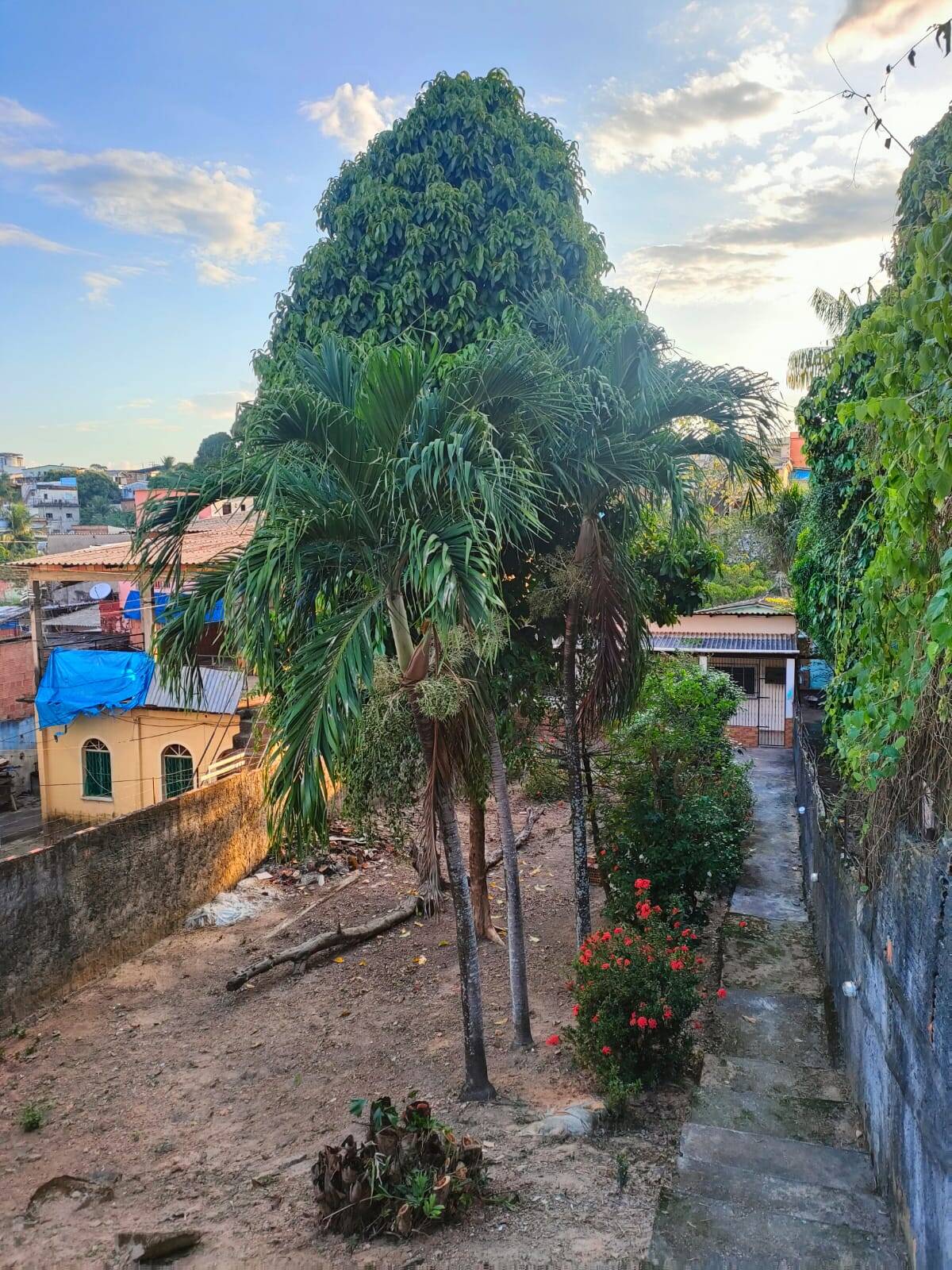 Casa à venda com 2 quartos, 90m² - Foto 3