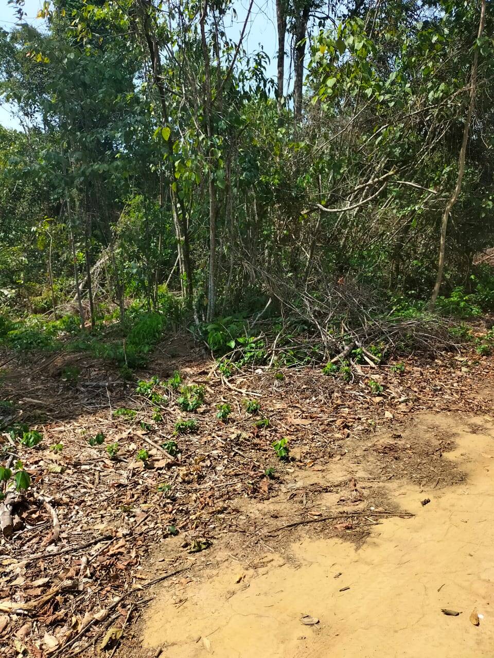 Terreno, 5200 m² - Foto 3