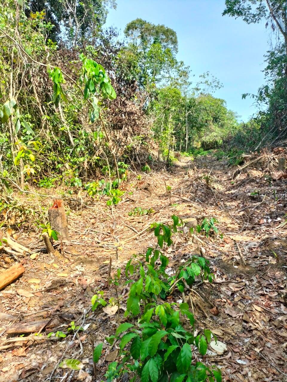 Terreno, 5200 m² - Foto 9