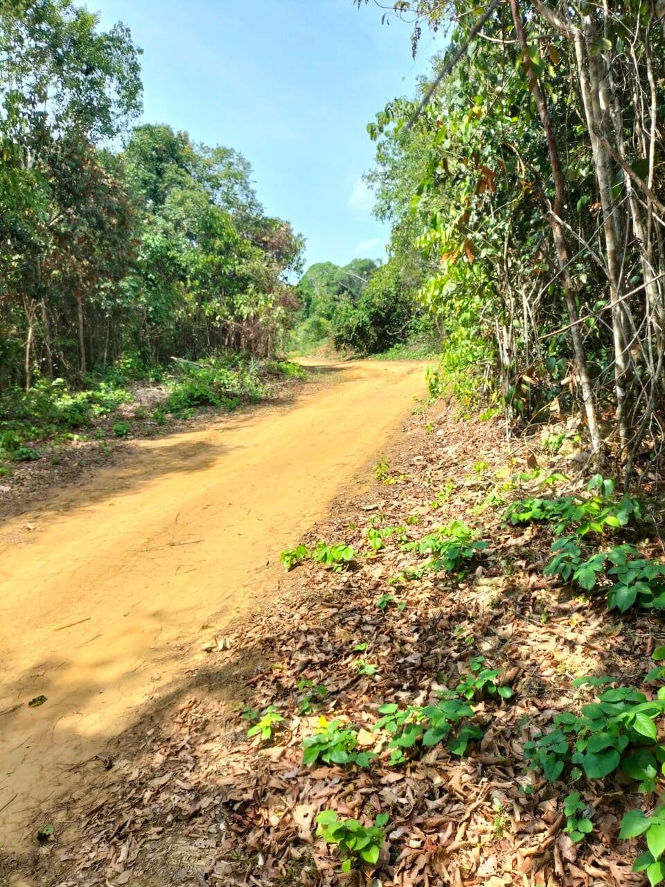 Terreno, 5200 m² - Foto 10