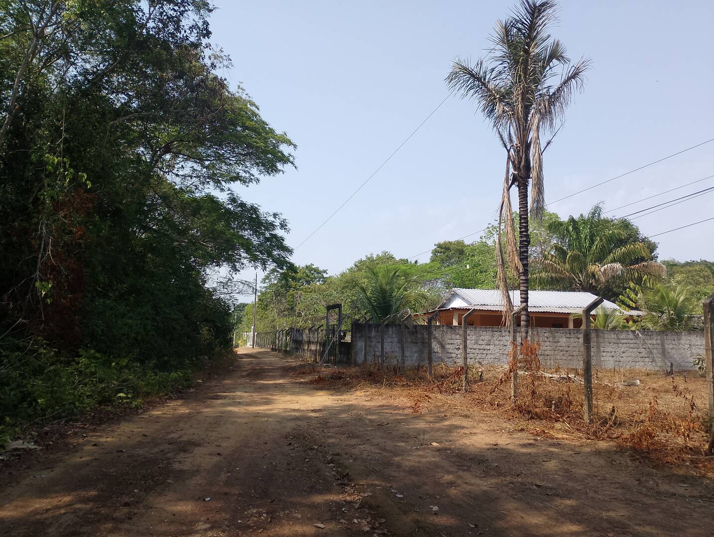 Terreno, 2000 m² - Foto 3