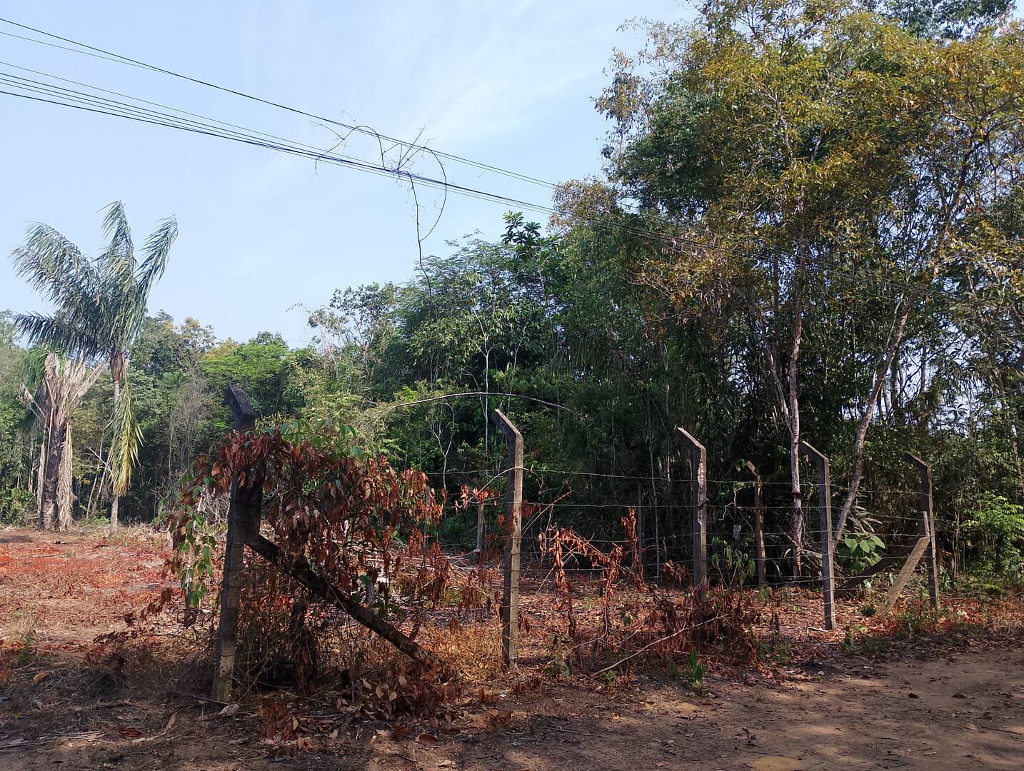 Terreno, 2000 m² - Foto 6