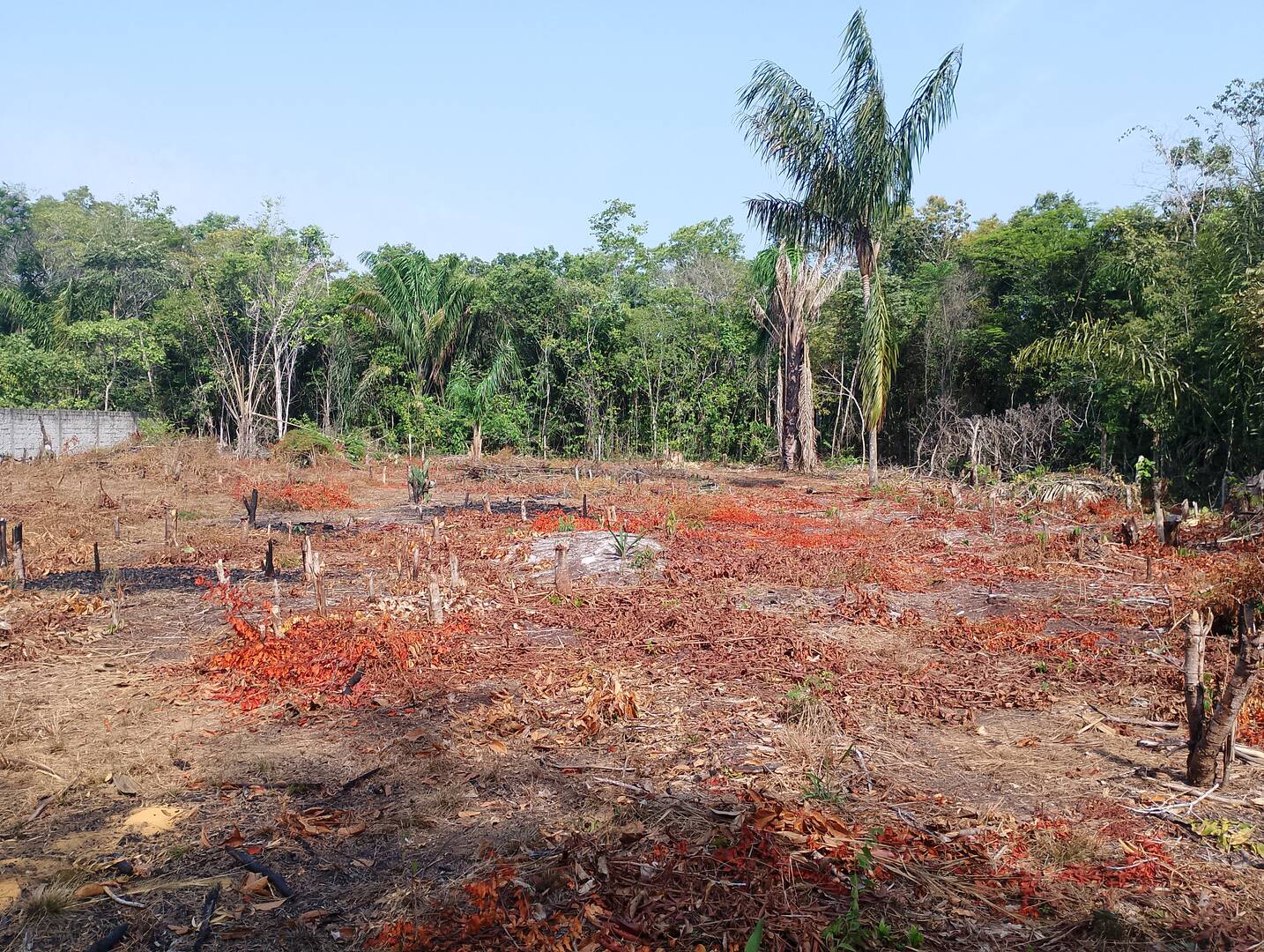 Terreno, 2000 m² - Foto 7